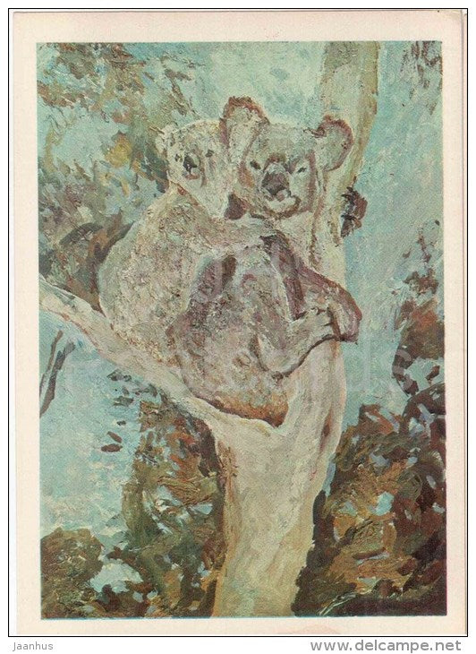 paintings by Plakhov and Alekseyev - Koala Bear . Australia - Pacific - 1979 - Russia USSR - unused - JH Postcards
