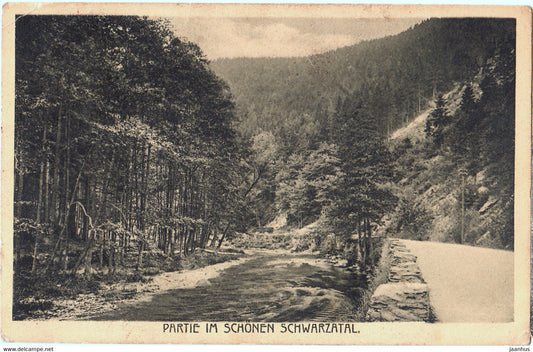 Partie im Schonen Schwarzatal - old postcard - 22611 - 1922 - Germany - used - JH Postcards