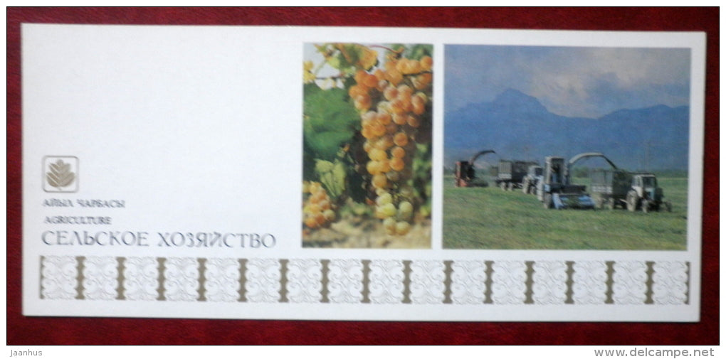 Agriculture - grape - tractor - 1984 - Kyrgystan USSR - unused - JH Postcards