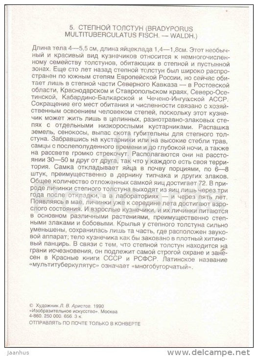 Bradyporus multituberculatus - Grasshopper - Cricket - insects - 1990 - Russia USSR - unused - JH Postcards