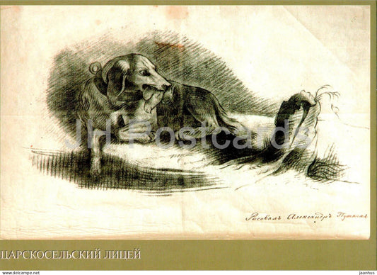 The Lyceum Museum at Tsarskoye Selo - illustration by Pushkin - dog - 2006 - Russia - unused - JH Postcards