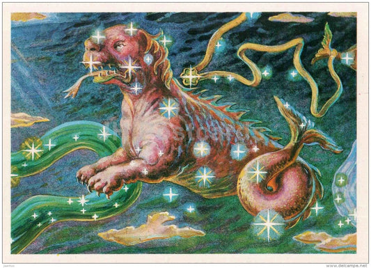Cetus - Eridanus river - Constellations - zodiac - astronomy - 1983 - Russia USSR - unused - JH Postcards
