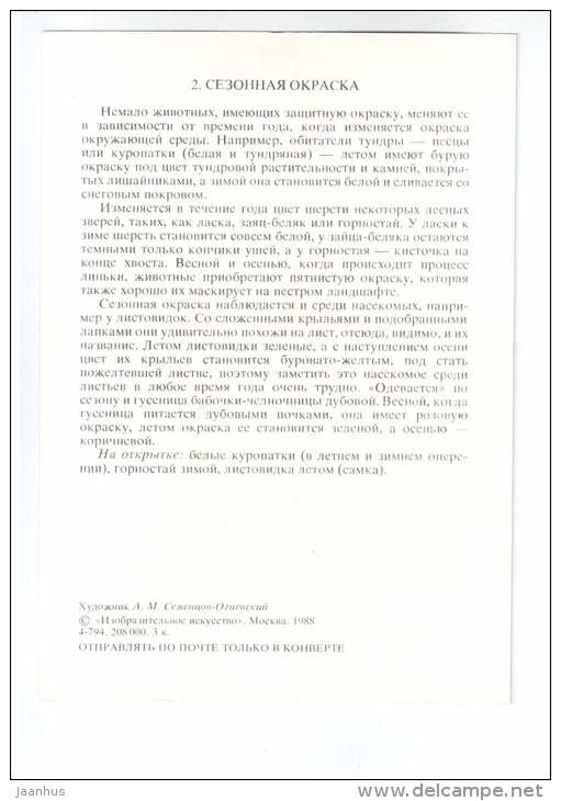 Phylliidae - Ermine - ptarmigan - dismember coloring - seasonal coloring - 1988 - Russia USSR - unused - JH Postcards