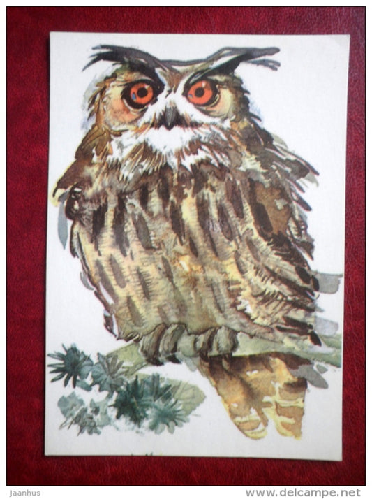 Eurasian Eagle-Owl - Bubo bubo - illustration by E. Pikk - birds - 1979 - Estonia USSR - unused - JH Postcards