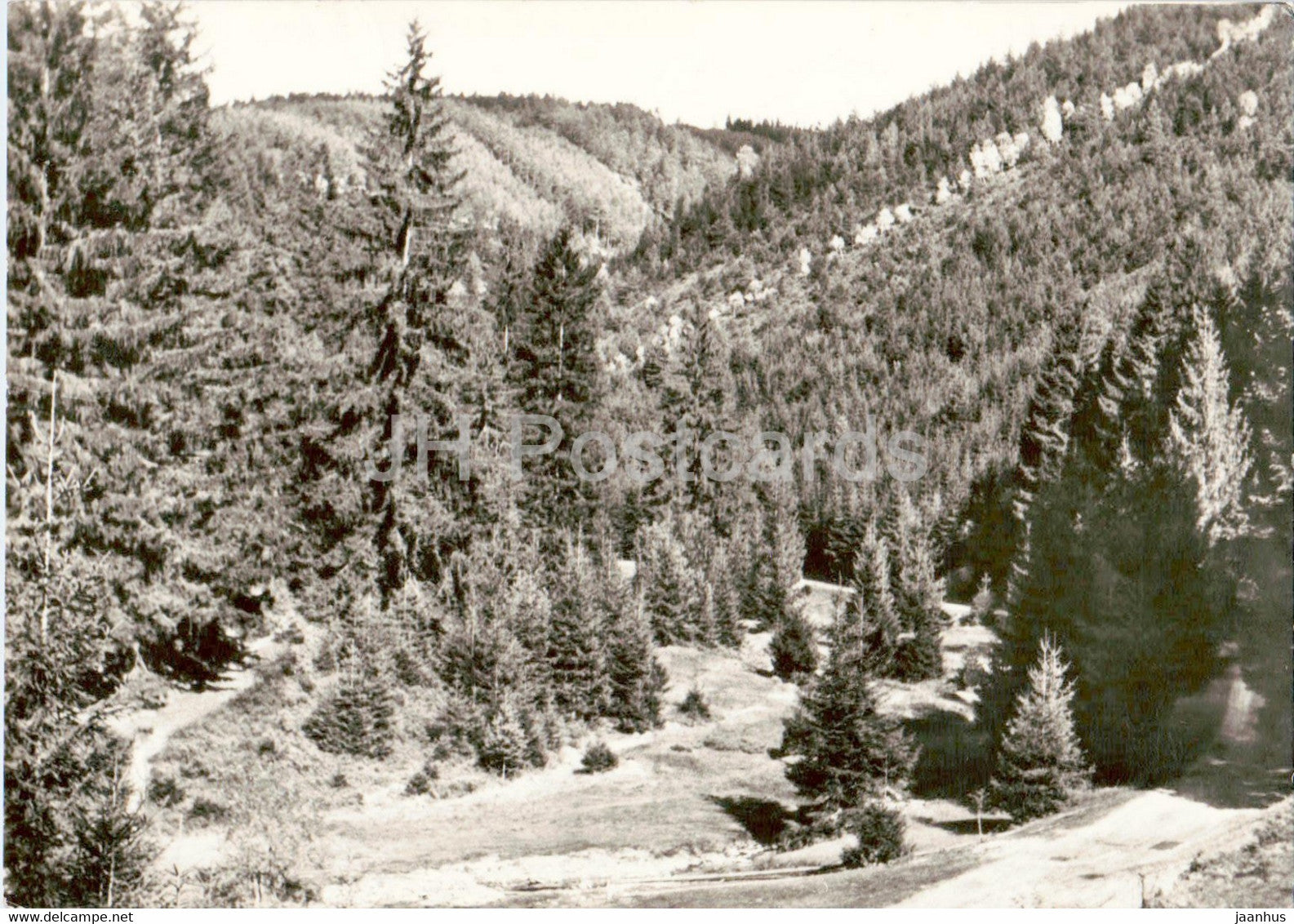 Meura - Schlagetal - Thur Wald - Germany DDR - used - JH Postcards