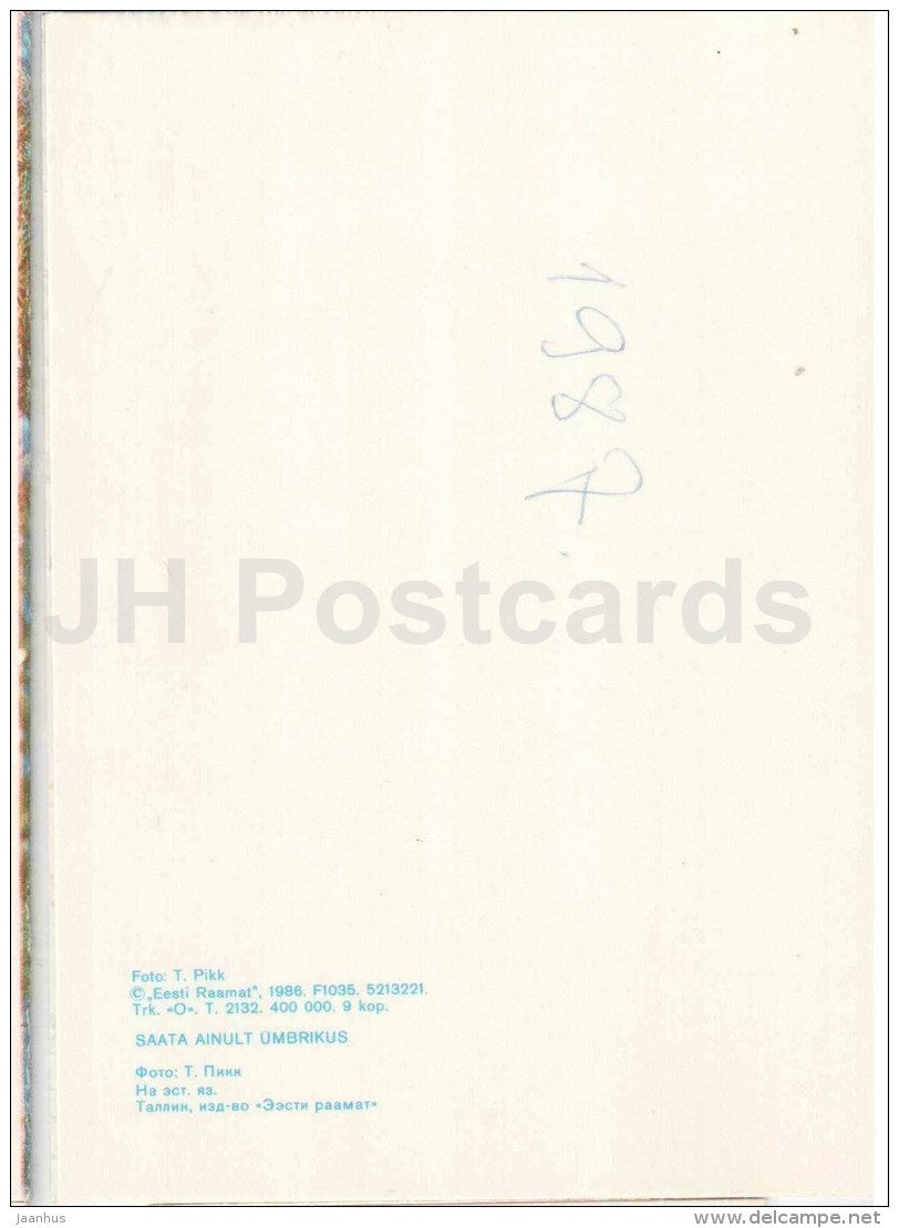 New Year greeting card - field flowers - corn - 1986 - Estonia USSR - used - JH Postcards
