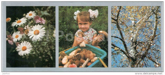 golden autumn - mushrooms - daisies - Vladivostok - 1977 - Russia USSR - unused - JH Postcards