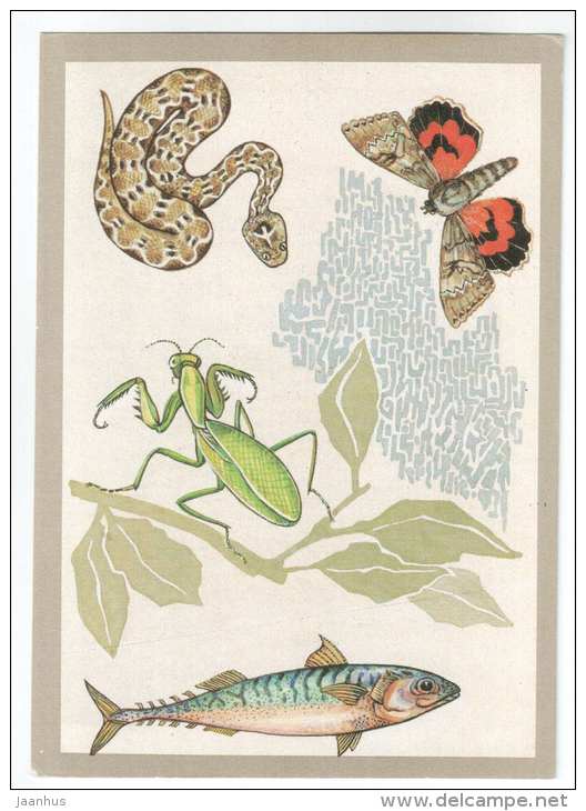 mackerel - Mantis - Red Underwing - saw-scaled viper - protective coloration - 1988 - Russia USSR - unused - JH Postcards
