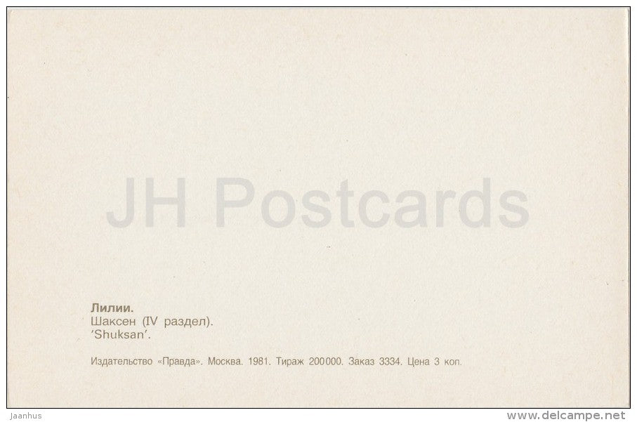 Shuksan - flowers - Lily - Russia USSR - 1981 - unused - JH Postcards