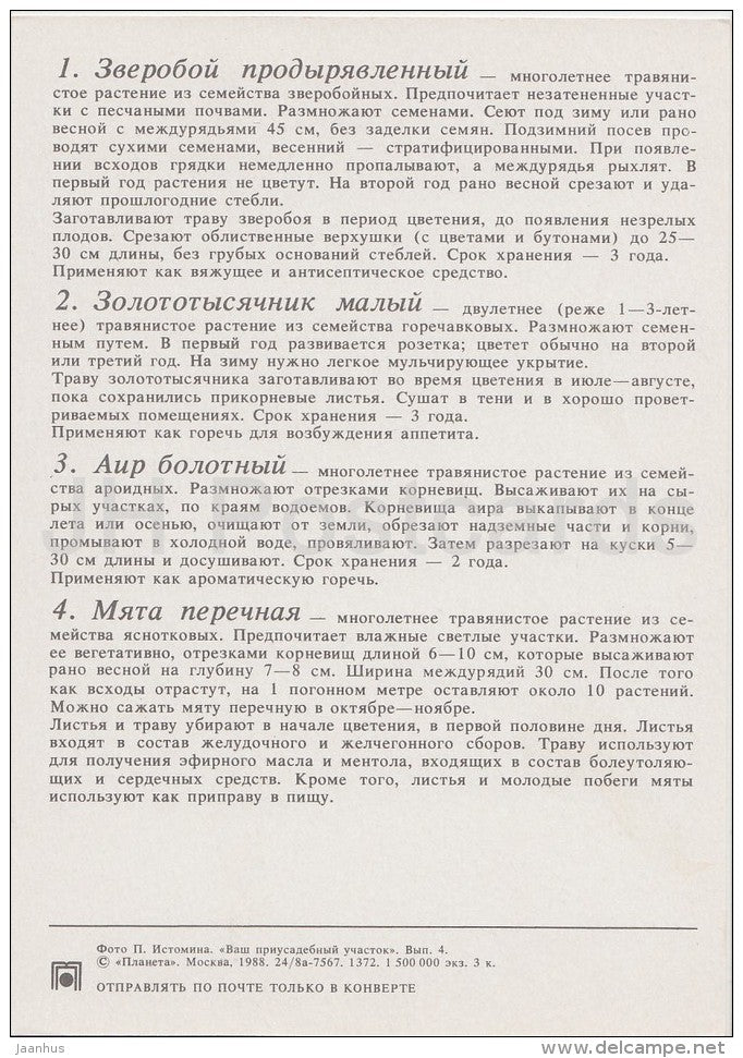 Perforate St John's-wort - European centaury - Sweet Flag - Medicinal Plants - Herbs - 1988 - Russia USSR - unused - JH Postcards