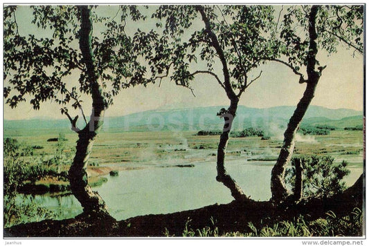 Stone birches - Kamchatka - in the land of volcanoes - 1971 - Russia USSR - unused - JH Postcards
