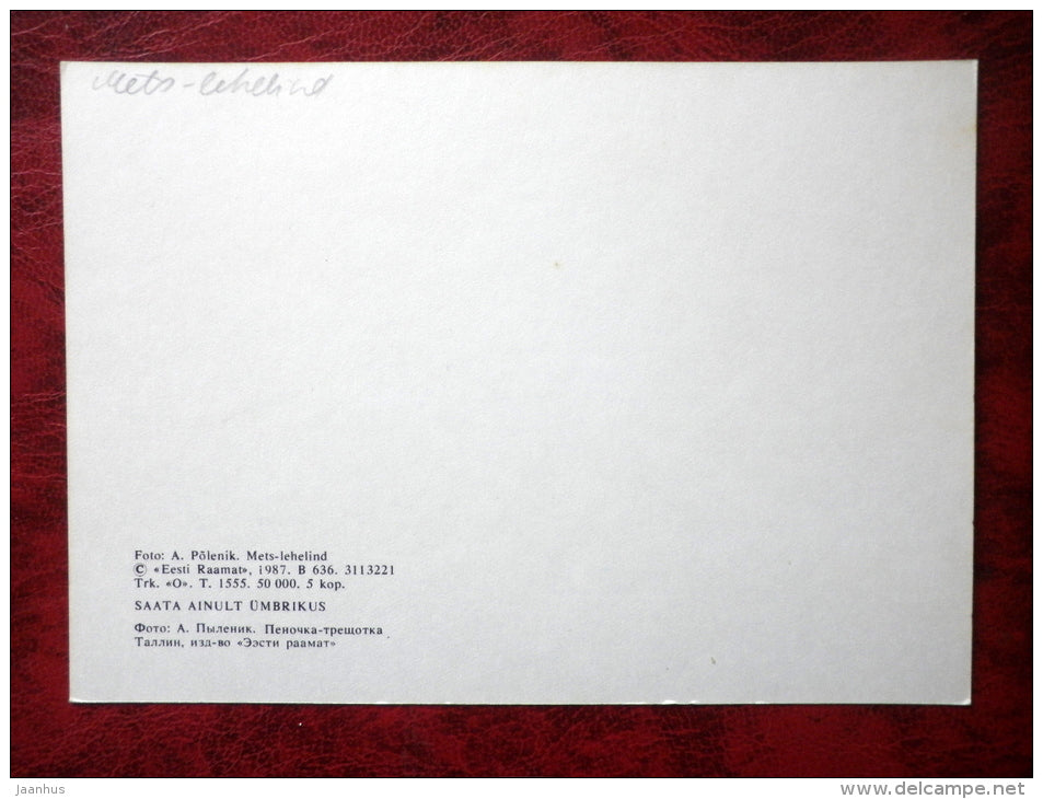 Wood Warbler - Phylloscopus sibilatrix - birds - 1987 - Estonia - USSR - used - JH Postcards