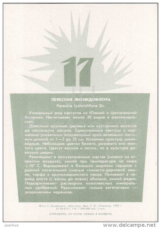 Pereskia lyshnidiflora - cactus - plants - 1990 - Russia USSR - unused - JH Postcards