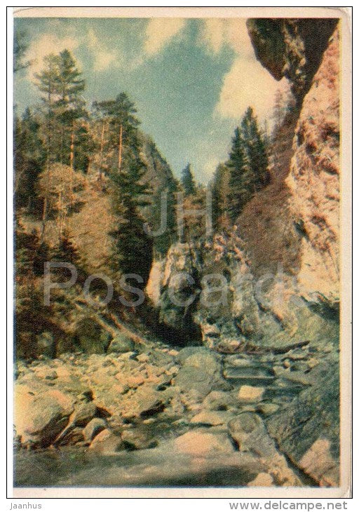 Near Baikal - mountain river near the village Arshan - 1956 - Russia USSR - unused - JH Postcards