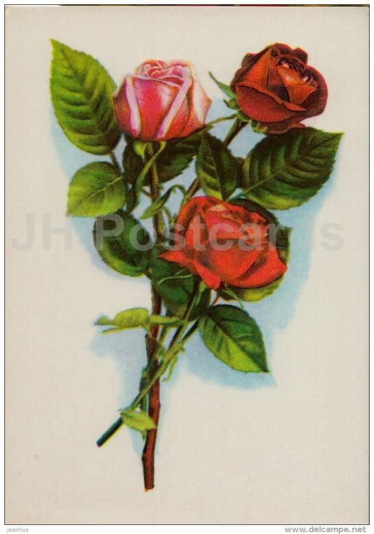 Red Roses - flowers - illustration - 1977 - Estonia USSR - used - JH Postcards