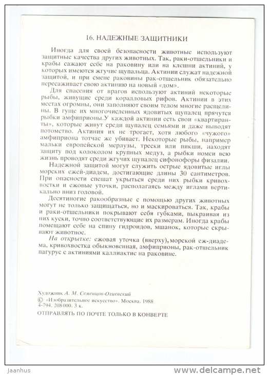 Amphiprioninae - Razorfish - Sea Urchin - Long-snout clingfish - reliable defenders - 1988 - Russia USSR - unused - JH Postcards