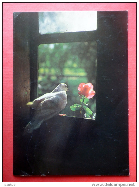 dove - birds - rose - flowers - window - EUROPA CEPT - 5462/5 - Finland - sent from Finland Turku to Estonia USSR 1986 - JH Postcards