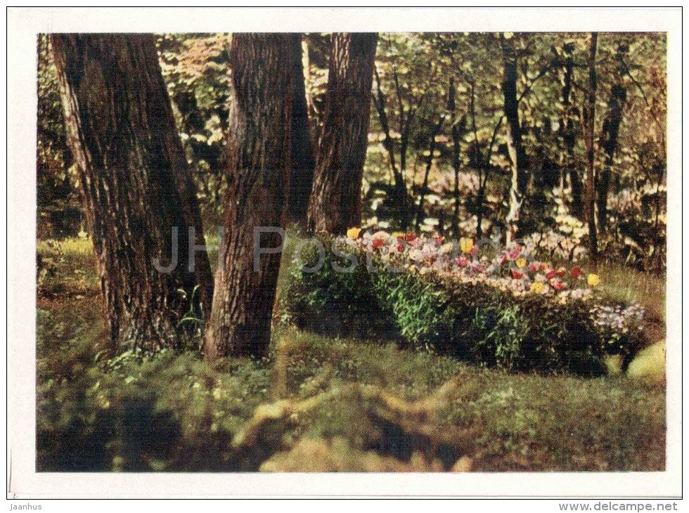 Grave of Tolstoy - Home of Russian Writer Leo Tolstoy - Yasnaya Polyana - 1963 - Russia USSR - unused - JH Postcards