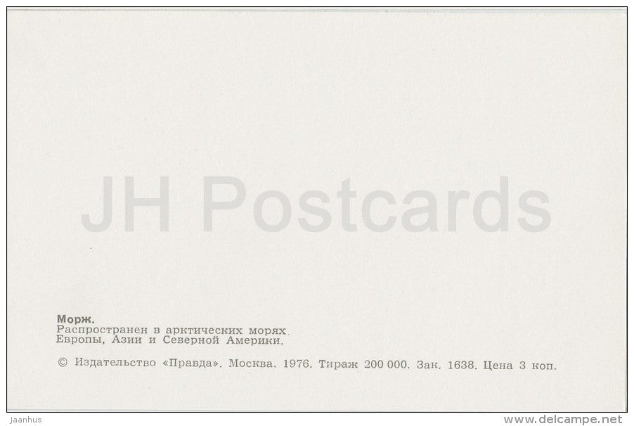 Walrus - Odobenus rosmarus - Zoo - 1976 - Russia USSR - unused - JH Postcards