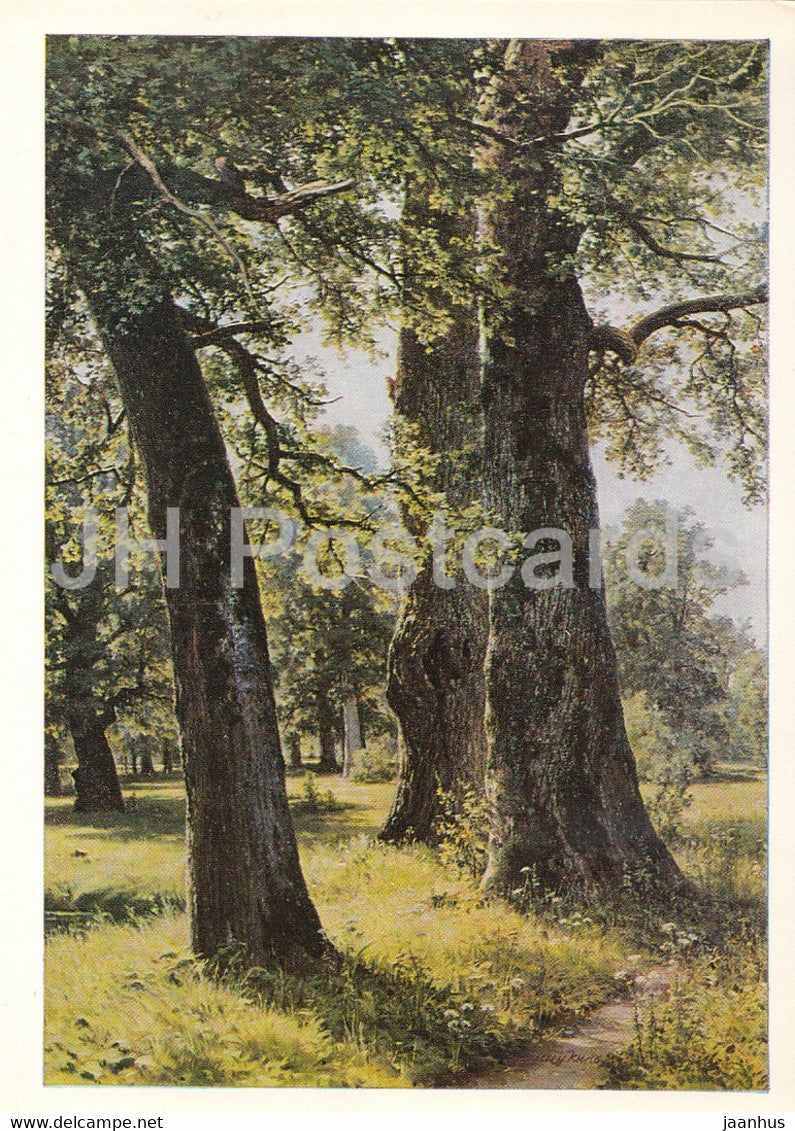 painting by I. Shishkin - Oak Trees - Russian art - 1978 - Russia USSR - unused - JH Postcards