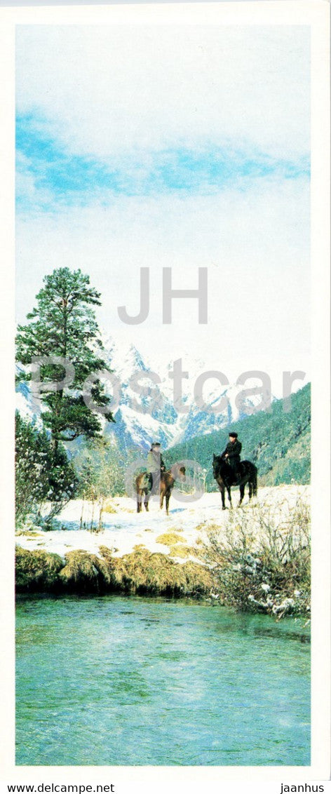 Teberda Nature Reserve - Transport of Nature Reserve - horse - 1982 - Russia USSR - unused - JH Postcards