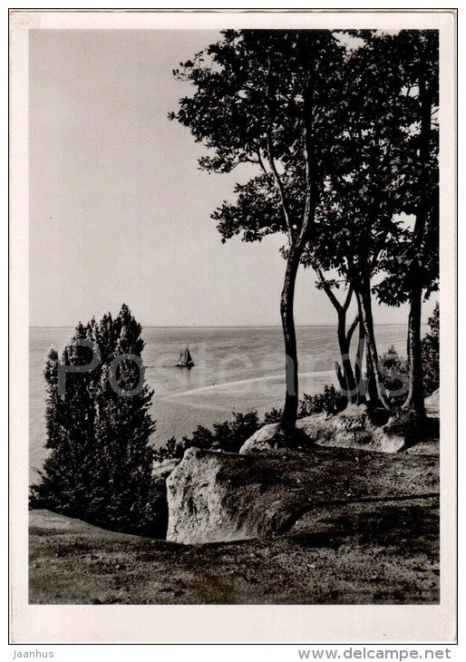 Steilufer an der Elbe - Germany - ungelaufen - JH Postcards