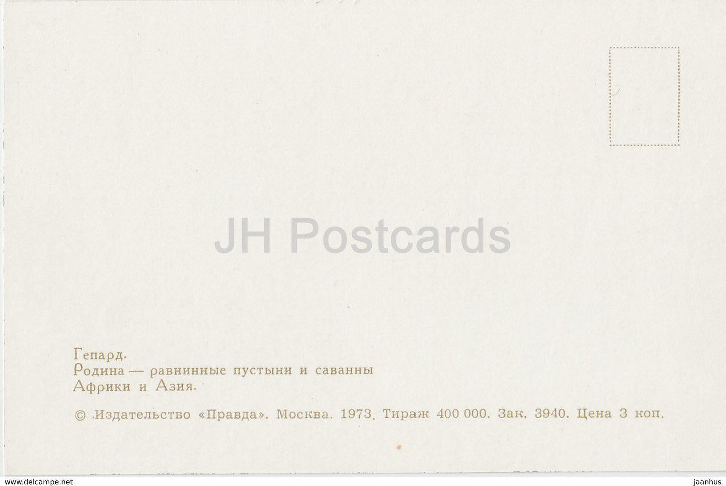 Cheetah - Acinonyx jubatus - Moscow Zoo - animals - 1973 - Russia USSR - unused