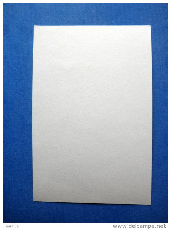 General view of The Khan's Palace - Bakhchysarai Crimea - mini photo card - USSR Ukraine - unused - JH Postcards