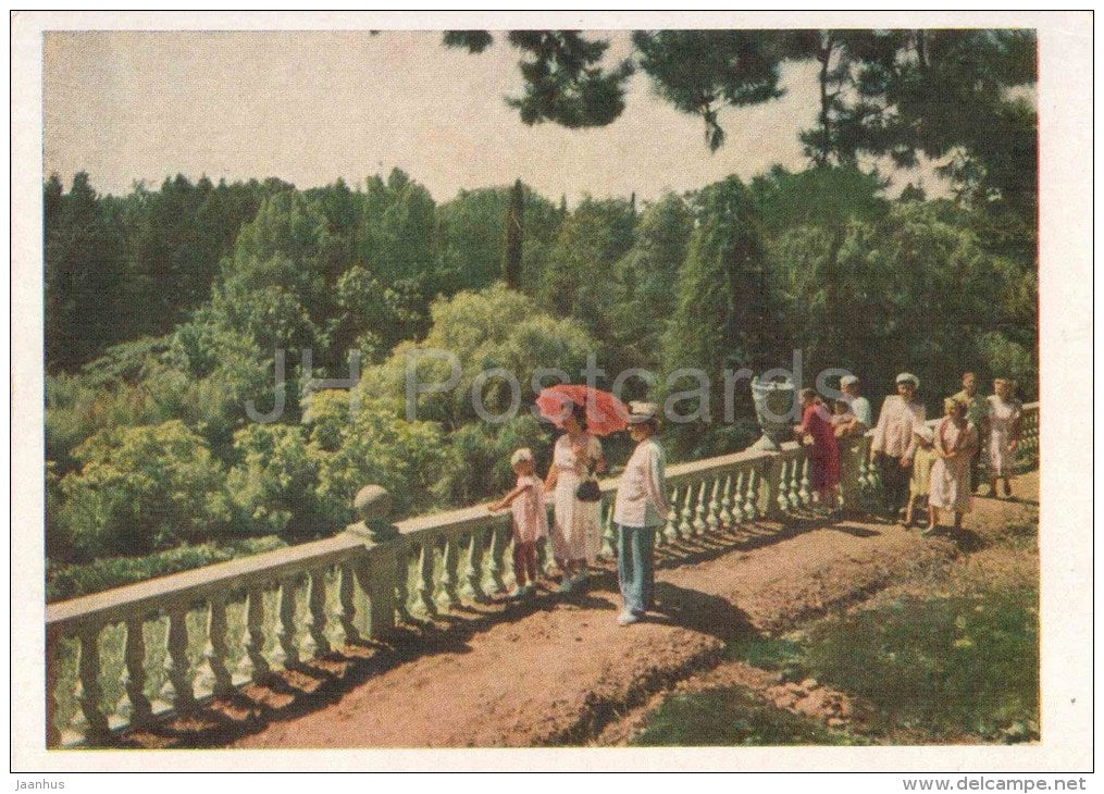 The Black Sea Coast of the Caucasus - In the Park of the Southern Crops State Farm - Adler - 1956 - Russia USSR - unused - JH Postcards