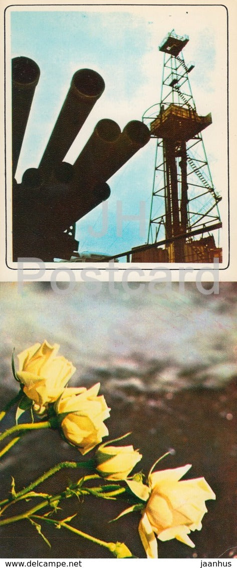 Neftyanye Kamni - Neft Daslari - New Oil Rig - flowers - 1975 - Azerbaijan USSR - unused - JH Postcards
