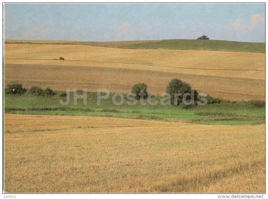 Czech Landscape - corn field - Czechoslovakia - Czech - unused - JH Postcards