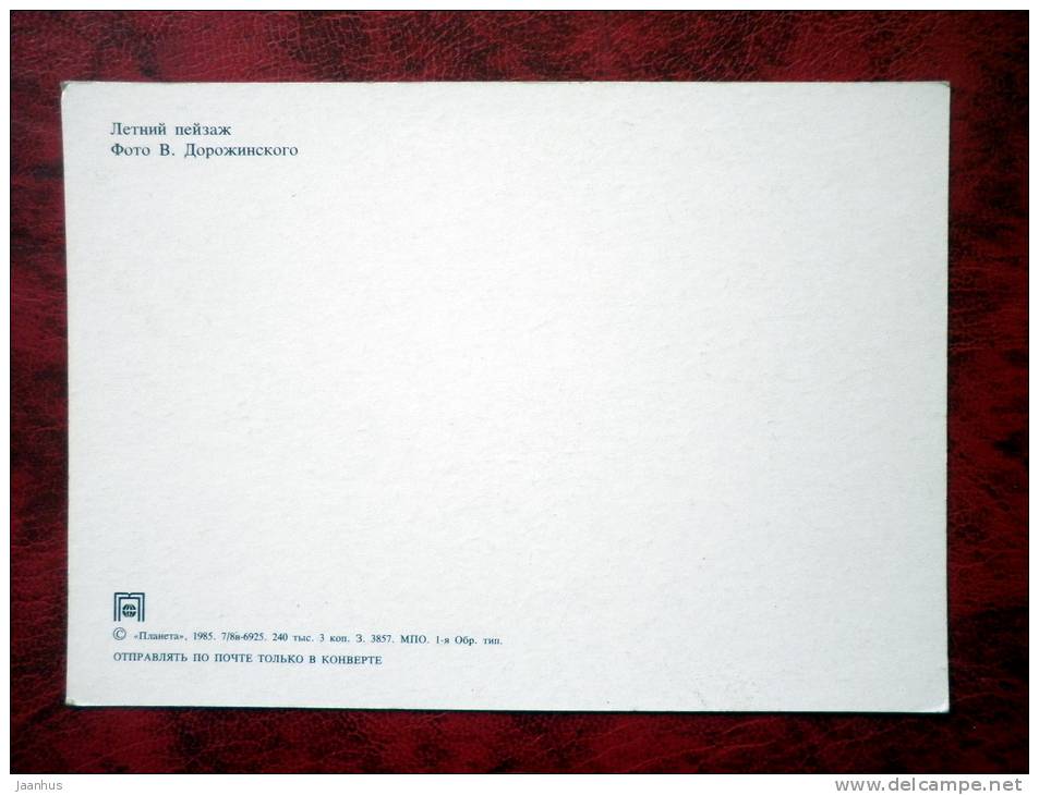 summer landscape - nature - 1985 - Russia - USSR - unused - JH Postcards