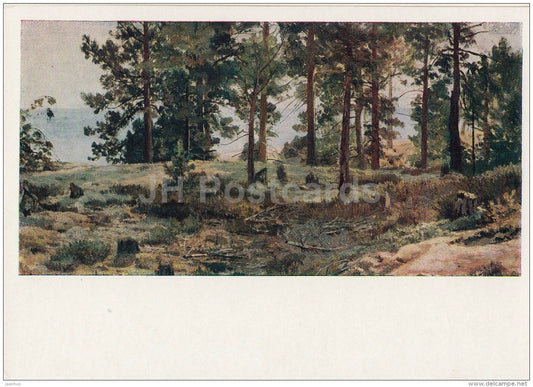 painting by I. Shishkin - On sandy ground - pine trees - Russian art - 1958 - Russia USSR - unused - JH Postcards