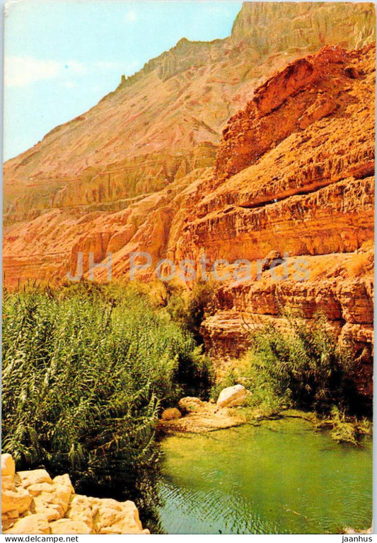 Ein Gedi - Landscape at Nachal Arugot - 6883 - Israel - unused - JH Postcards