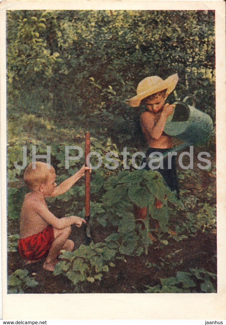Young Gardeners - Children - 1955 - Russia USSR - used - JH Postcards