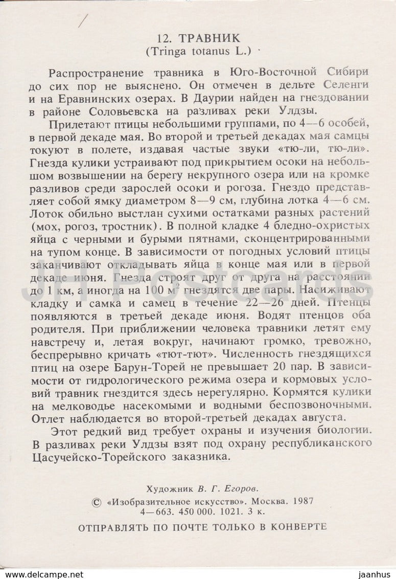 Common redshank - Tringa totanus - birds - 1987 - Russia USSR - unused