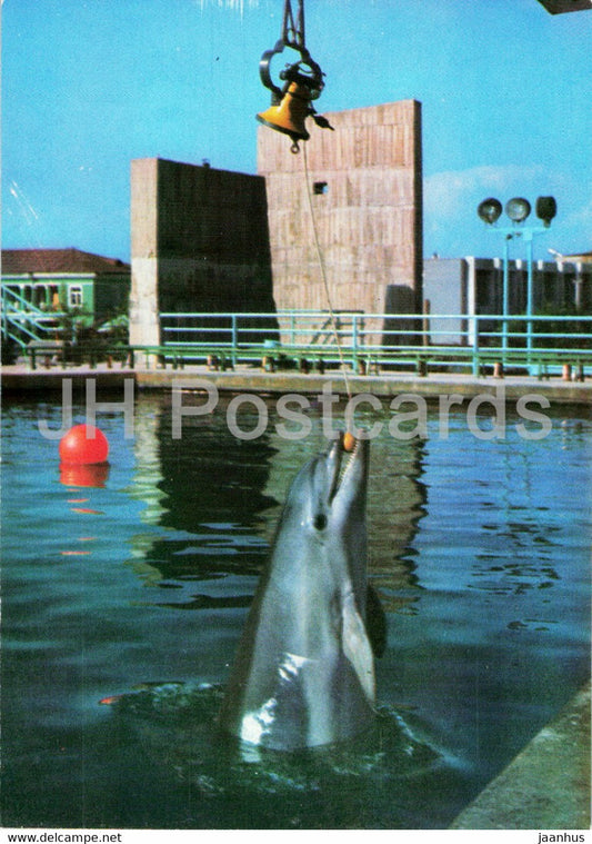 Batumi Dolphinarium - dolphin - ringing bell - 1980 - Georgia USSR - unused - JH Postcards
