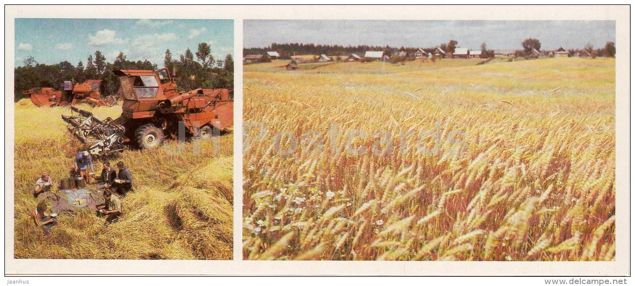 crop harvest - harvester - Novgorod Region - 1985 - Russia USSR - unused - JH Postcards