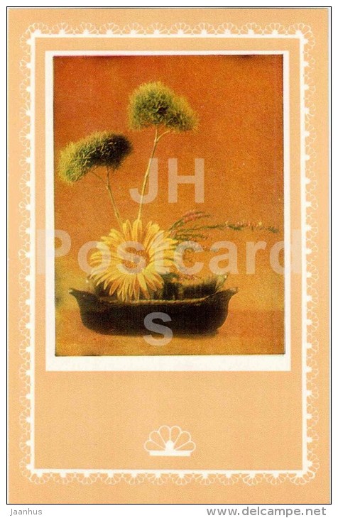 gerbera - ikebana - flowers composition - 1981 - Latvia USSR - unused - JH Postcards