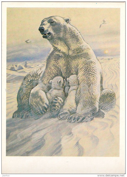 Polar bear , Ursus maritimus - Endangered species - illustration by V. Gorbatov - 1990 - Russia USSR - unused - JH Postcards