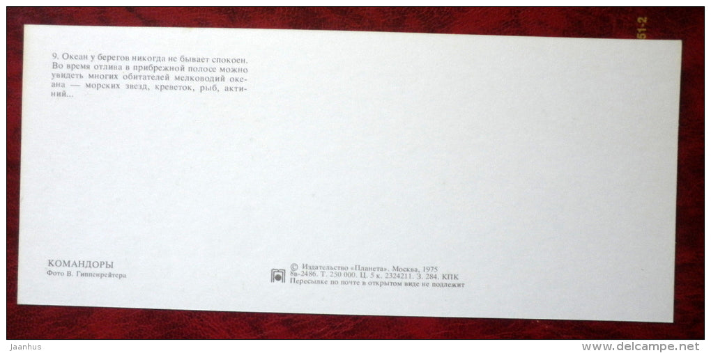 ocean - starfish - Komandorski Commander islands - 1975 - Russia USSR - unused - JH Postcards