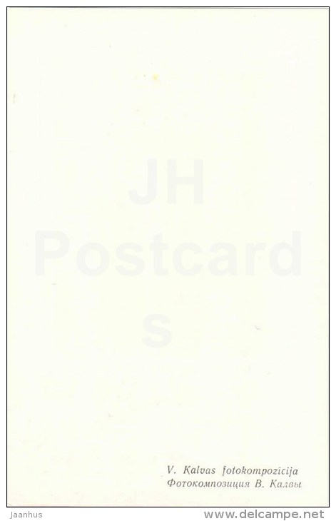 ikebana - flowers composition - 4 - 1981 - Latvia USSR - unused - JH Postcards