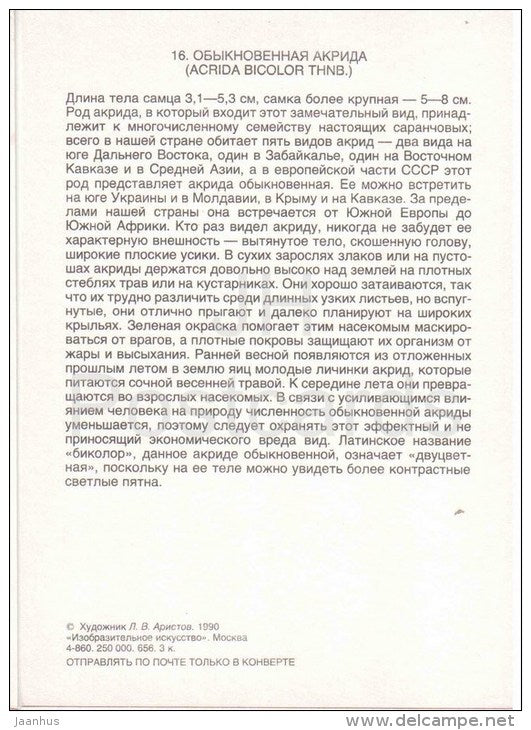 Arcida bicolor - Grasshopper - Cricket - insects - 1990 - Russia USSR - unused - JH Postcards