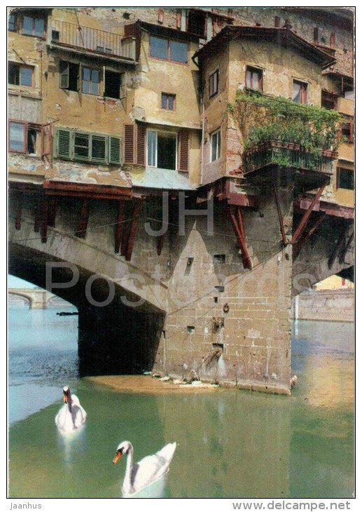 Ponte Vecchio , particolare - bridge - swan - Firenze - Toscana - 542 - Italia - Italy - sent from Italy to France - JH Postcards