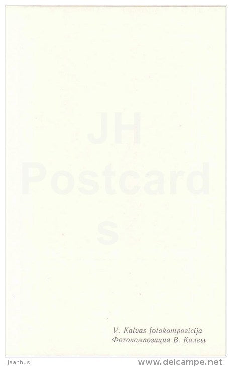 ikebana - flowers composition - 5 - 1981 - Latvia USSR - unused - JH Postcards
