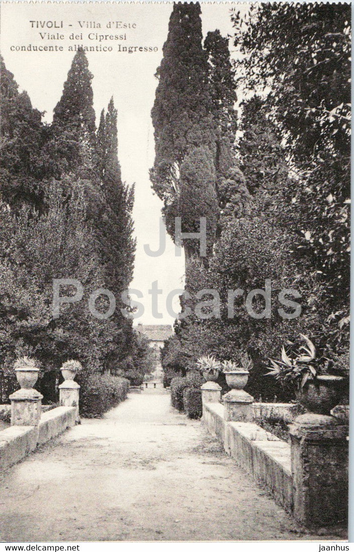 Tivoli - Villa d'Este - Viale dei Cipressi conducente alliantico Ingresso - 211 - old postcard - Italy - unused - JH Postcards