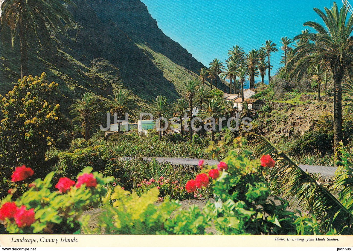Landscape - Canary Island - Spain - used - JH Postcards