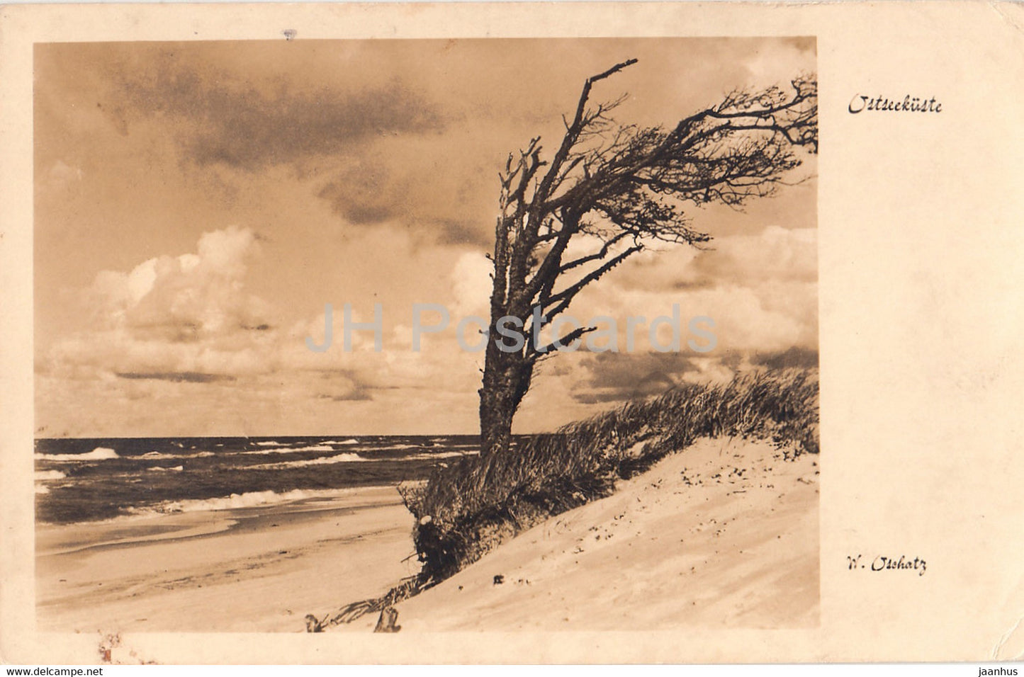 Ostseekuste - W. Oschatz - 174 - old postcard - Germany - unused - JH Postcards