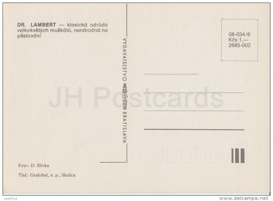Dr Lambert - flowers - Geranium - 1985 - Czech - Czechoslovakia - unused - JH Postcards