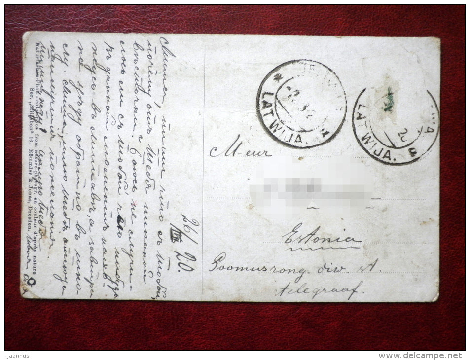 painting - still life - apples - tomato - can - cauliflower - grouse - circulated in 1920 - sent to Latvia - used - JH Postcards